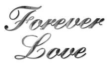 Load image into Gallery viewer, forever love art