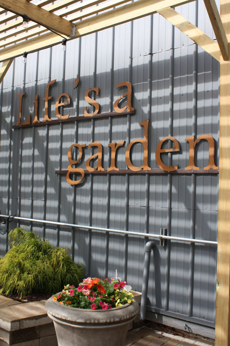 Follow your Nose –Lured by Aroma and Bouquet